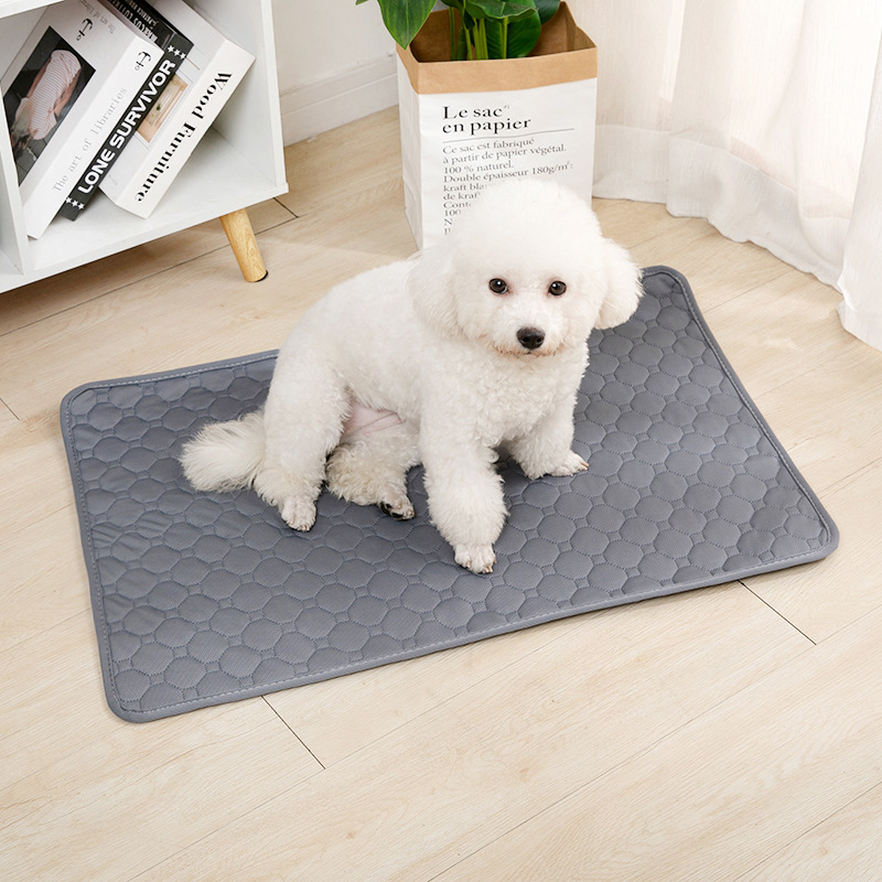 Tappetino Riutilizzabile Assor - Carriage Bed recensione e prezzo